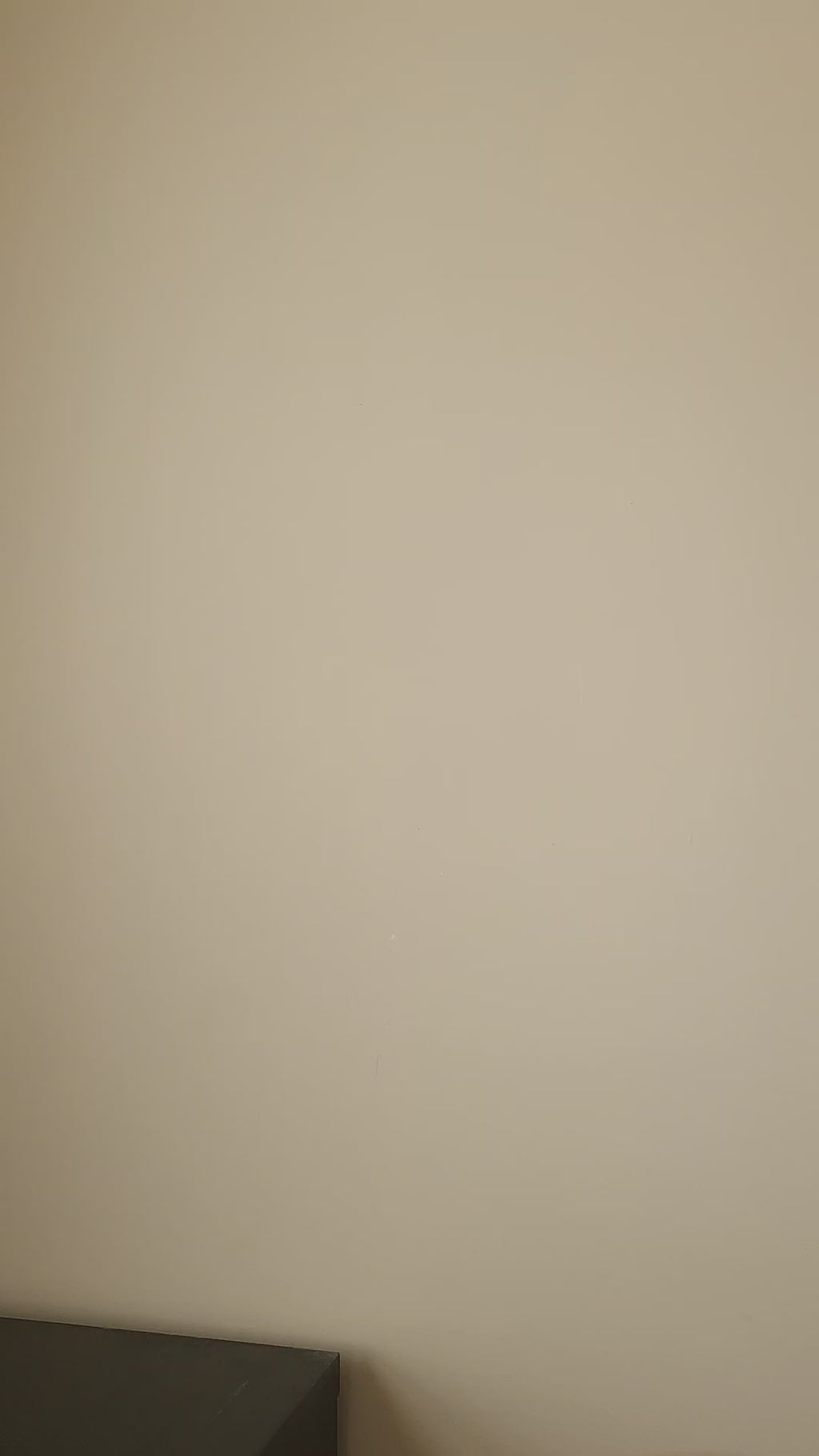 Pearl Cathedral Rose